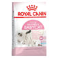 royal canin mother first age kitten 2kg sbpetshop