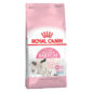 royal canin mother first age kitten 400gm sbpetshop