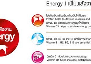 Icon Energy