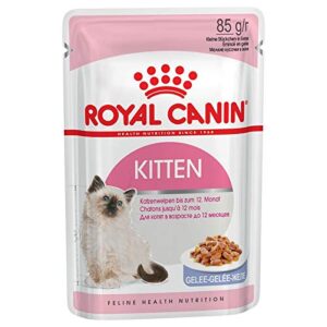 Royal Canin Kitten Pouch