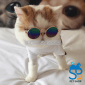 Sunglass 2